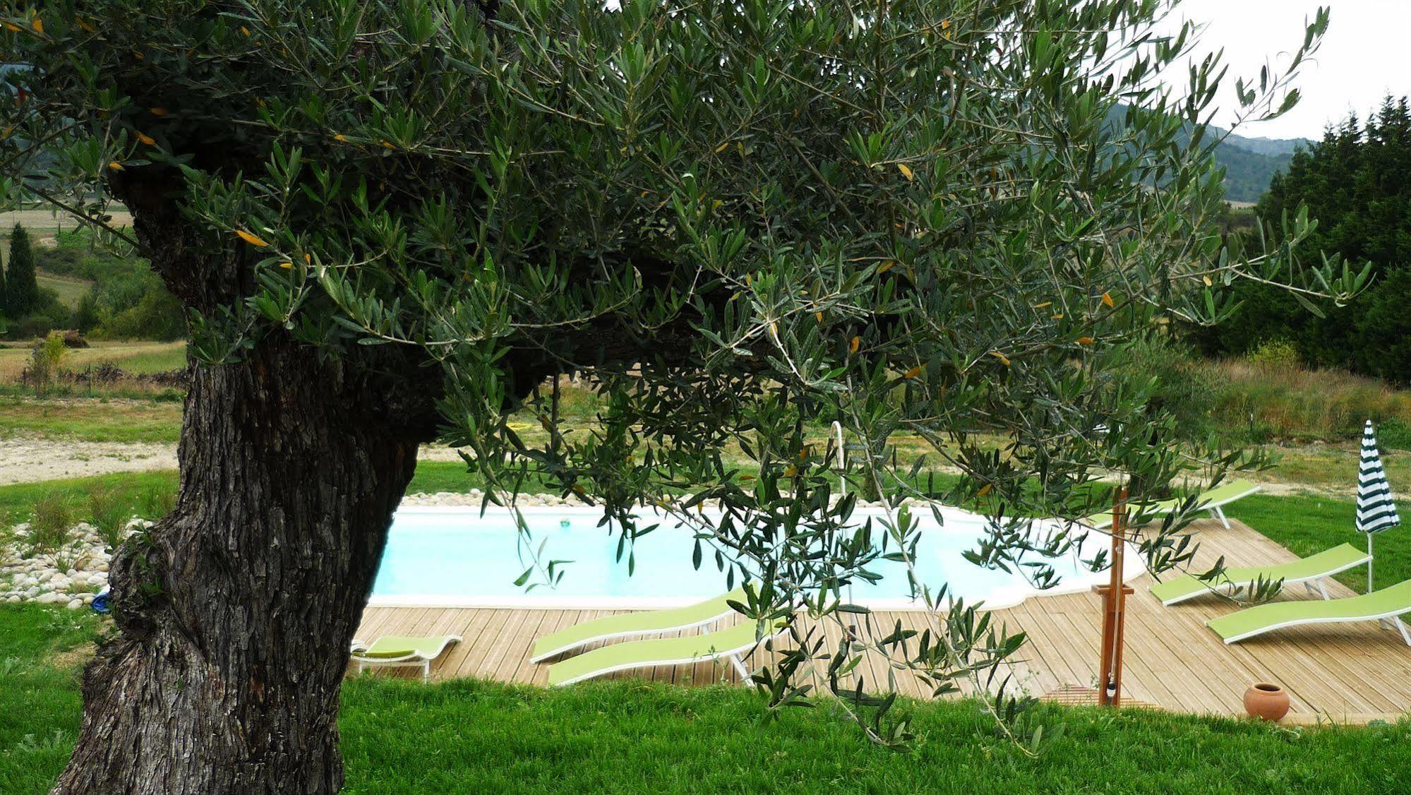 Relais De L'Alsou- Piscine Bed & Breakfast Labastide-en-Val Exterior photo